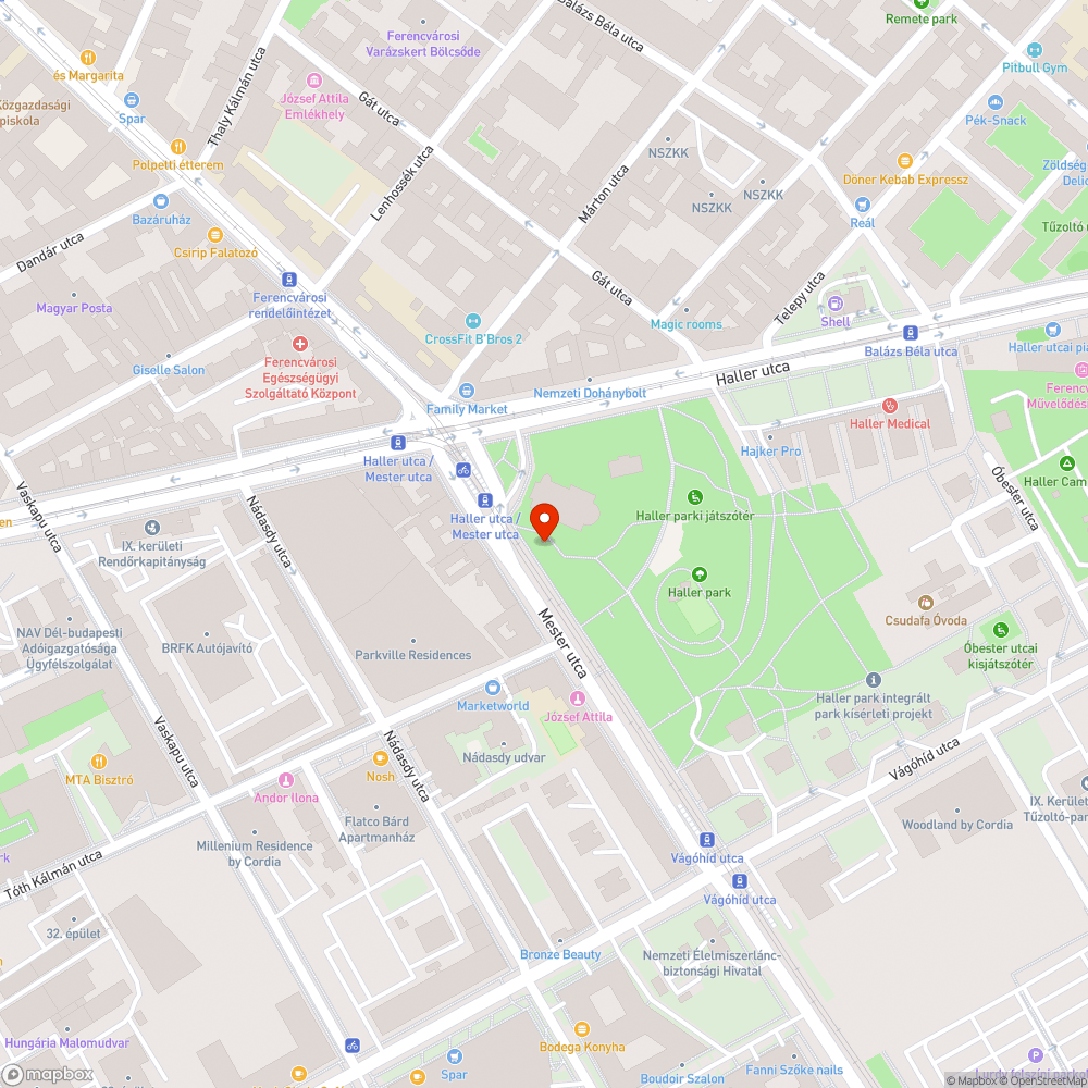 Leszakadt ág a Haller Parkban bejelentés helye