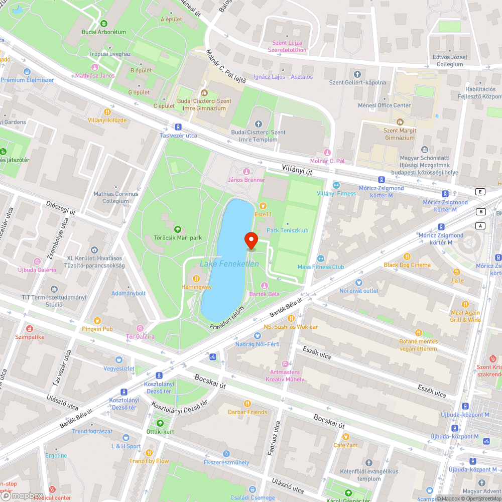 Veszélyes járda és futópálya kereszteződés a Feneketlen-tónál bejelentés helye