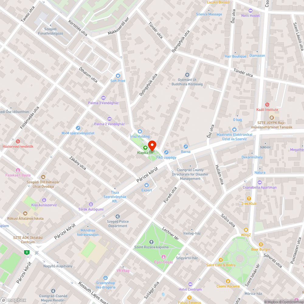 Kiszáradt facsemeték - Klapka tér bejelentés helye