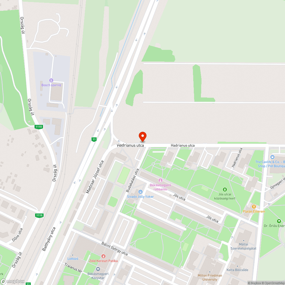 Halott fa bejelentés helye