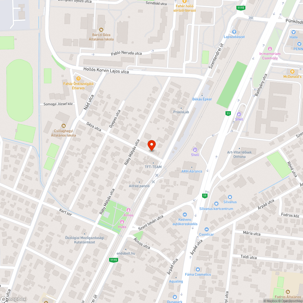 Járdán levágott faágak bejelentés helye