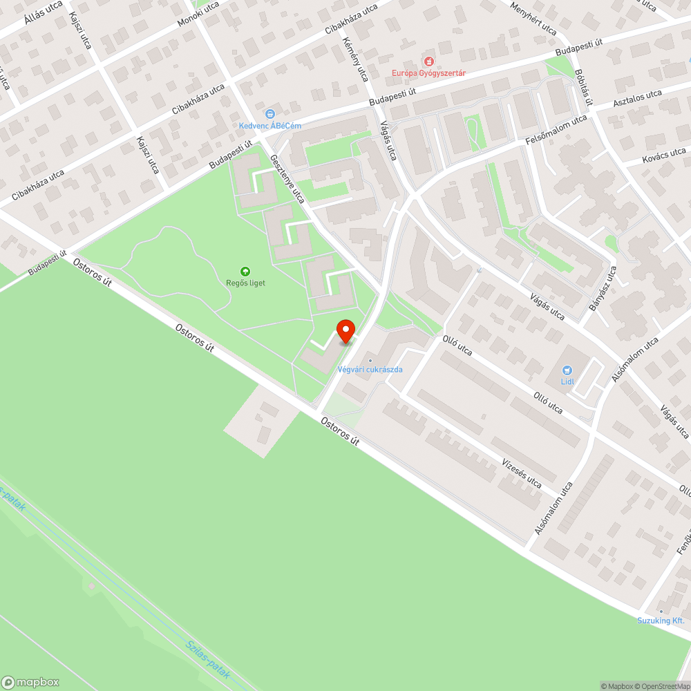 Parlagfűmező a Felsőmalom utcánál bejelentés helye