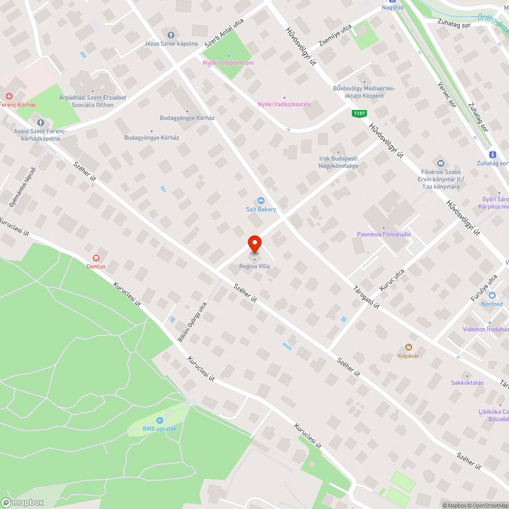 Gazos, csalános járda a Bölöni György utcában bejelentés helye