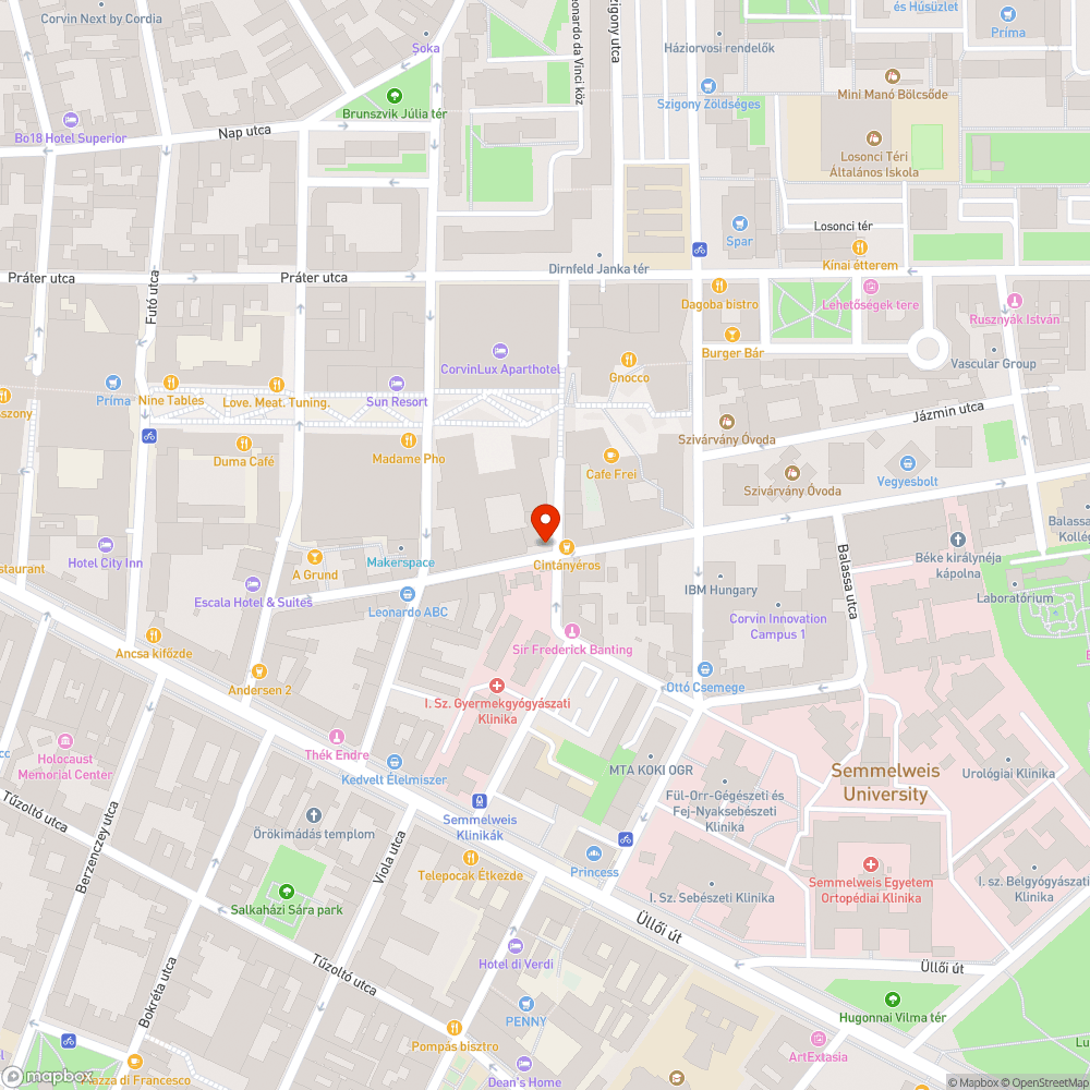 Homlokzatot károsító a közterületen álló fa bejelentés helye