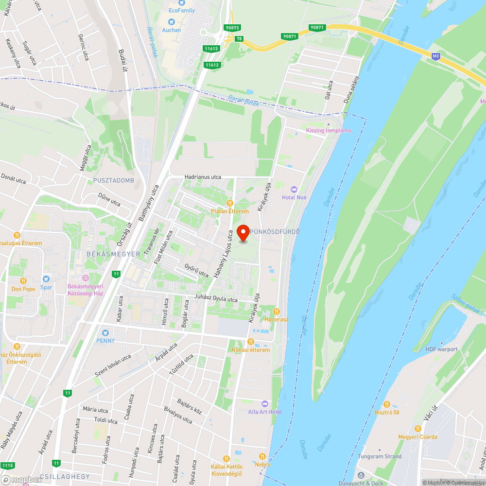 Félig kidőlt fa bejelentés helye