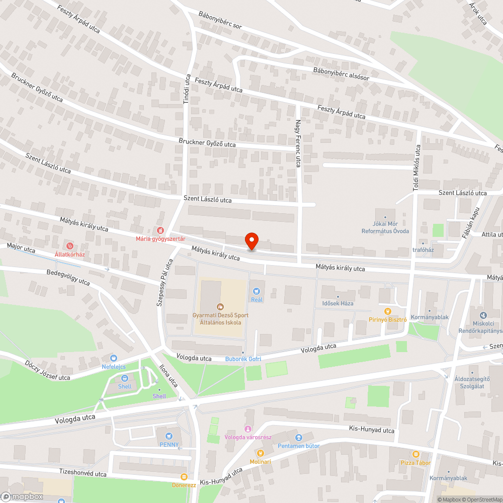 Új fák kiszáradnak a locsolás hiánya miatt bejelentés helye