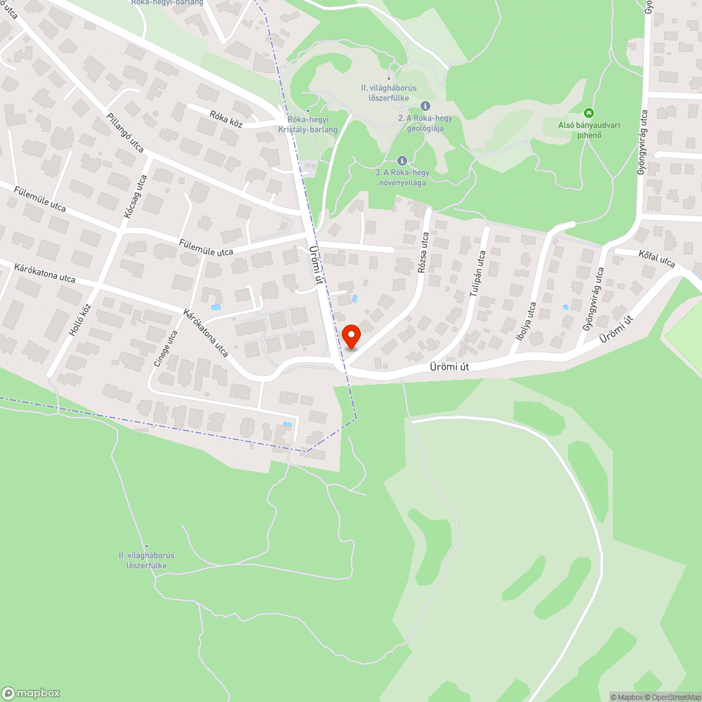 Forgalmi tükör növényzet által takarva bejelentés helye