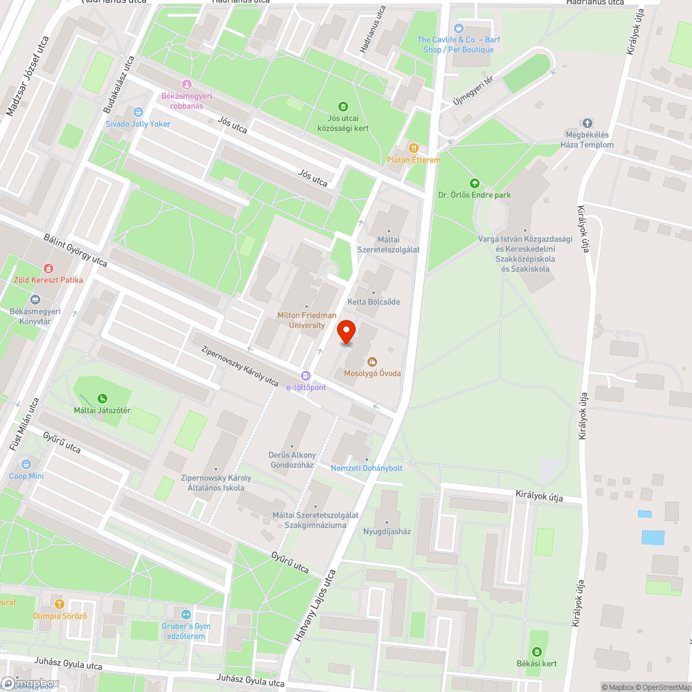 Zászlók kihelyezése - Gyermeksziget Montessori Óvoda Kelta utca 8. bejelentés helye