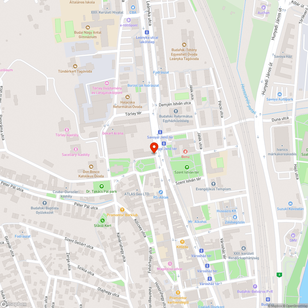 Savoyai Jenő tér gazos bejelentés helye