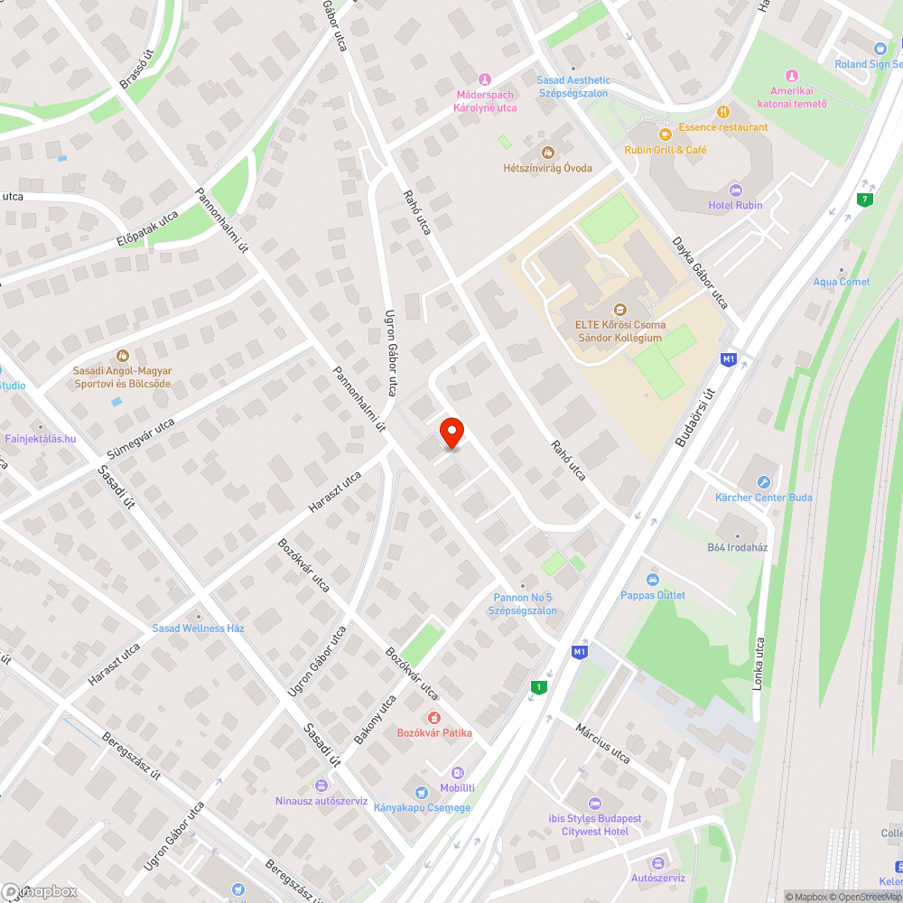 Lomtalanítás helyfoglaló hulladék a fán Rahó utca 2.0 bejelentés helye