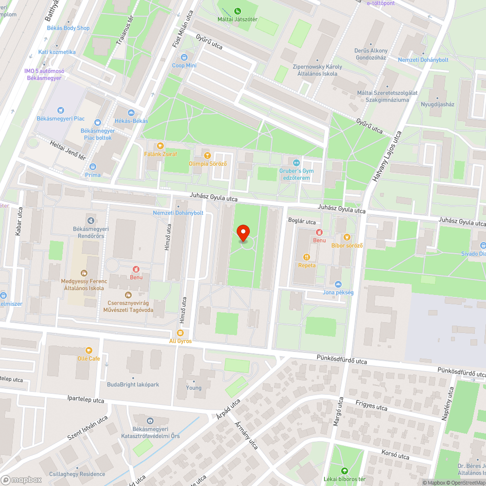 Leszakadt faág - Himző utca bejelentés helye