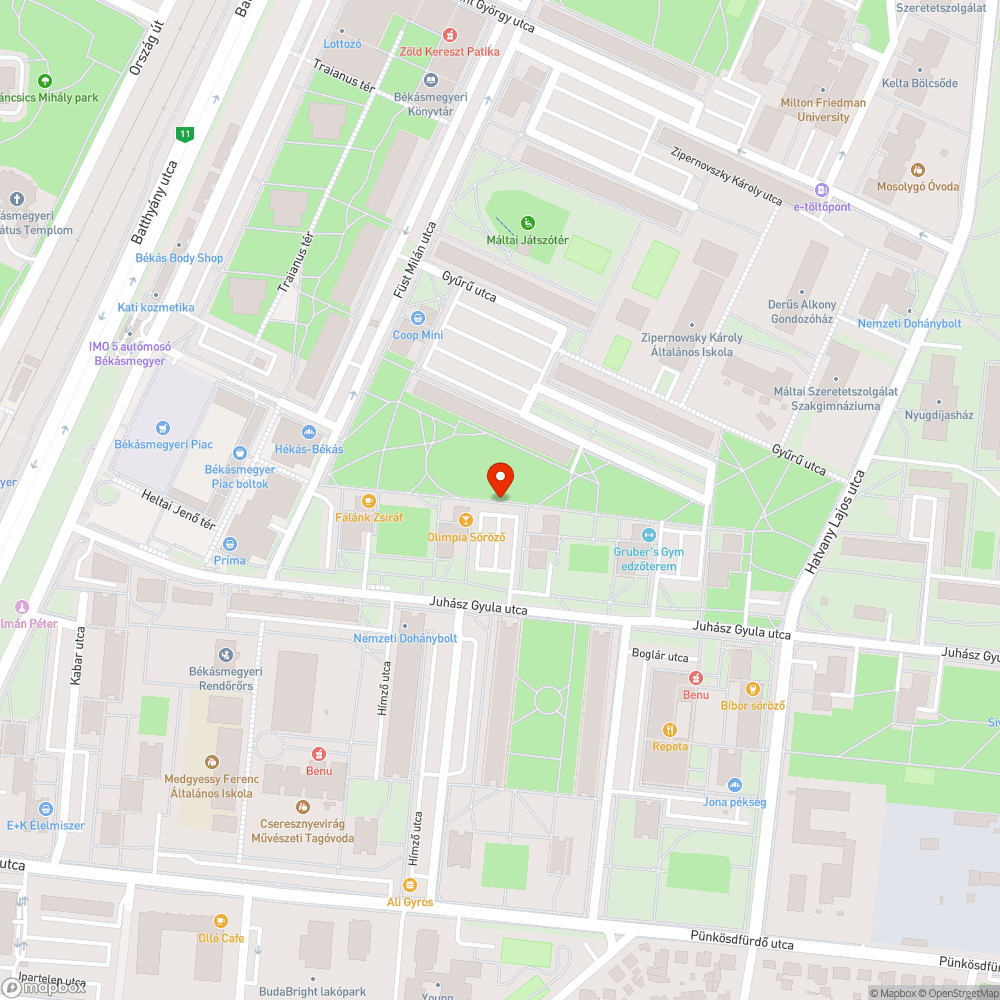 Leszakadt faágak - Juhász Gy. utca 6. bejelentés helye