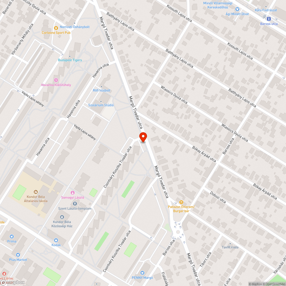 Zöldfelületen parkoló autó bejelentés helye