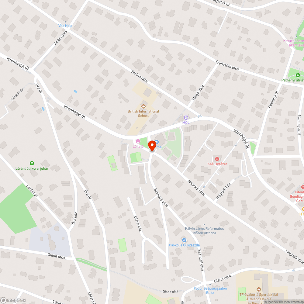 Kiömlött festék az úton bejelentés helye