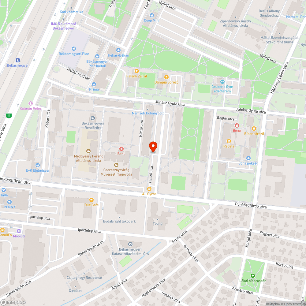 Elütött galamb bejelentés helye