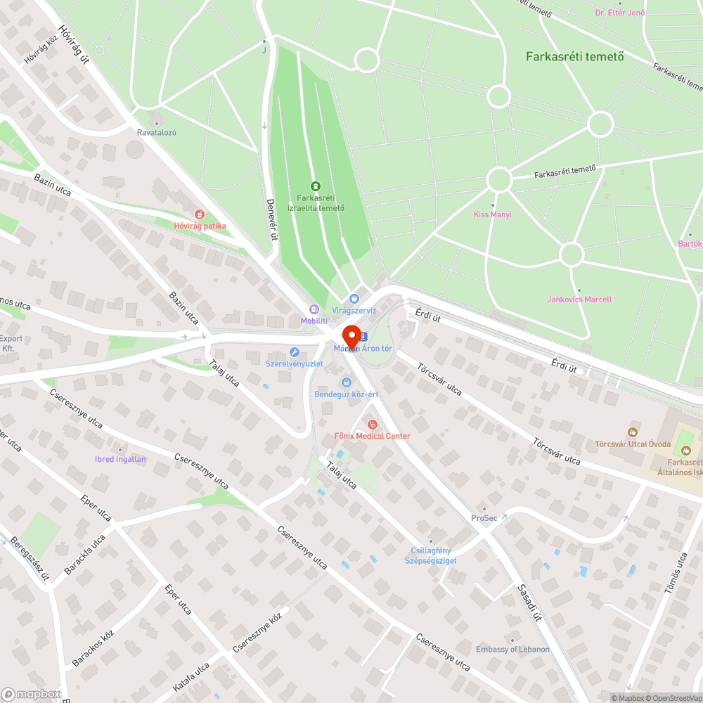 Márton Áron tér buszmegálló dzsumbuj bejelentés helye