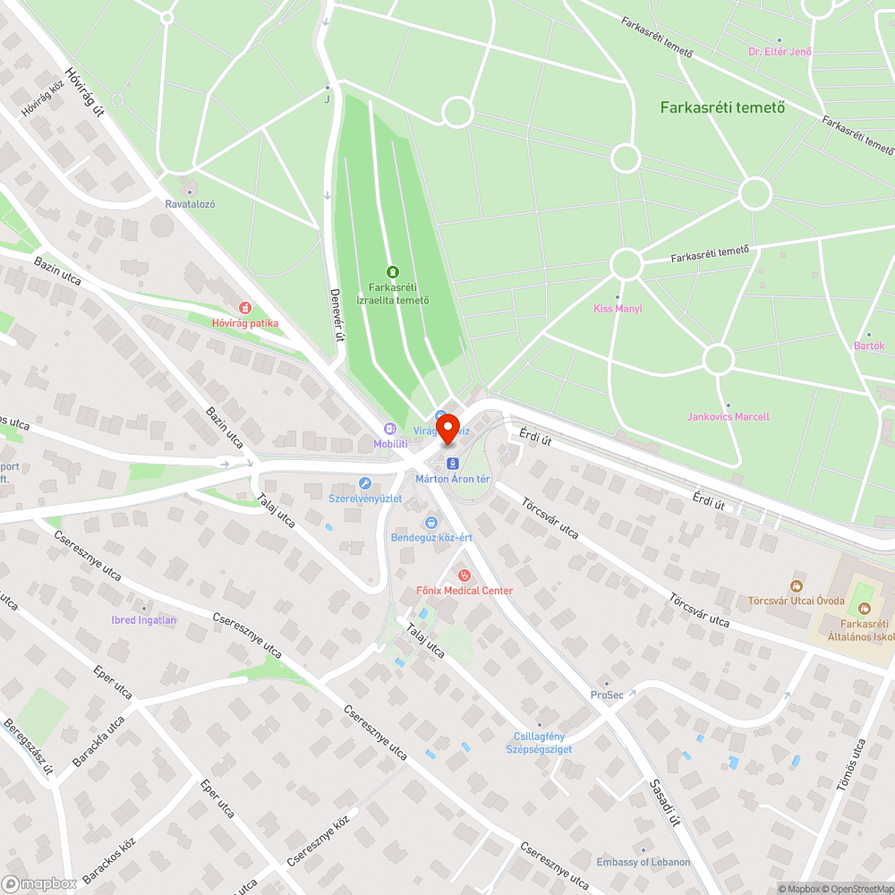 Márton Áron tér plakát bejelentés helye