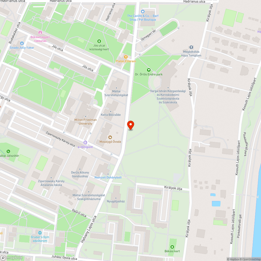 Leszakadt nagy ágak a sétány felett bejelentés helye