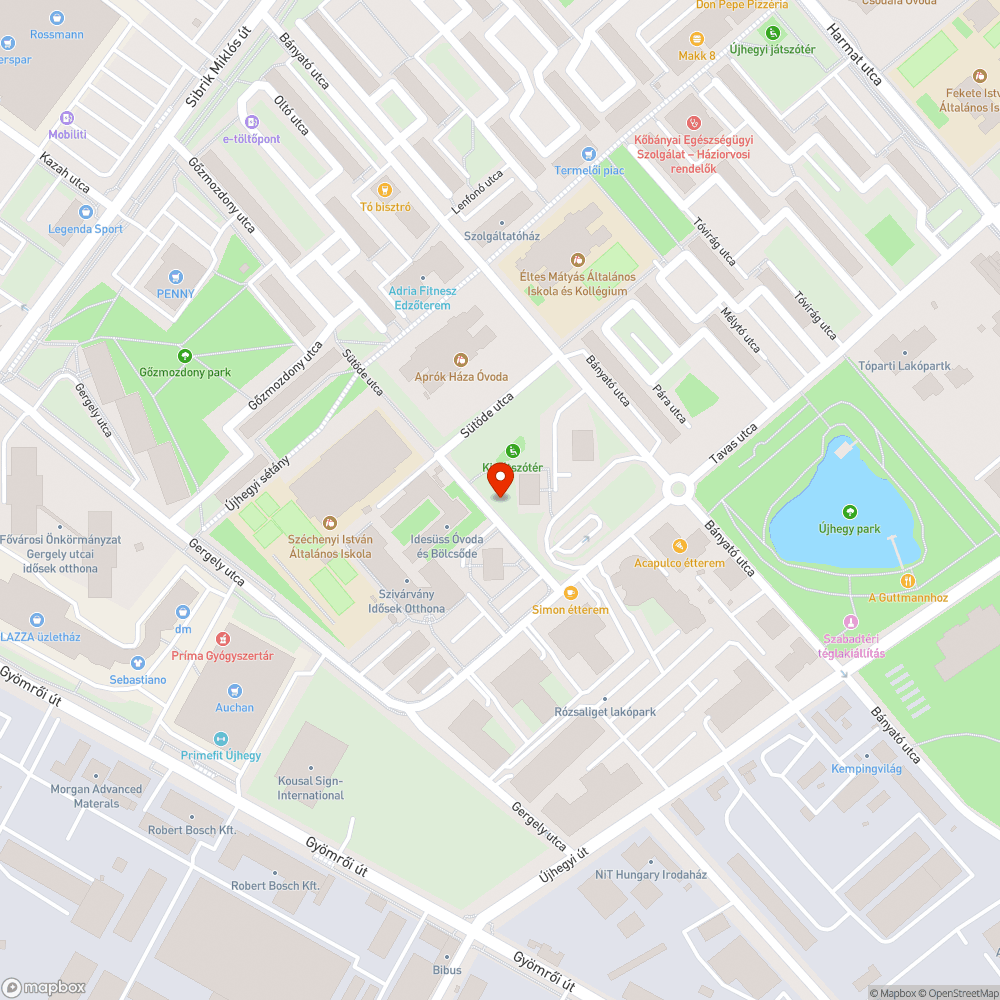 Kiszáradt fa - Tavas utca 4-nél bejelentés helye