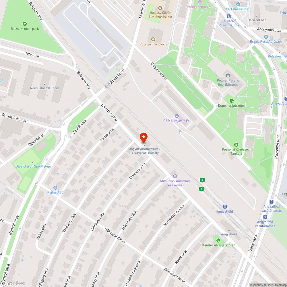 Kiszáradt fa bejelentés helye