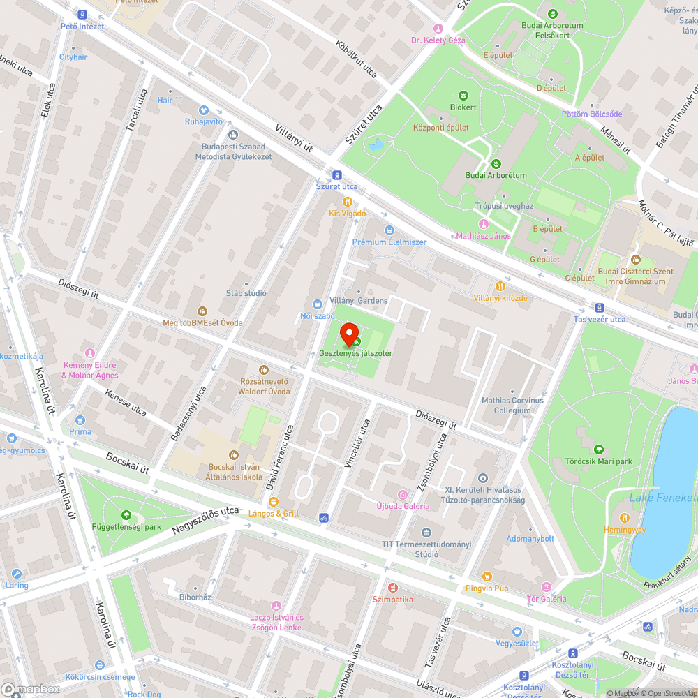 Dávid Ferenc utcai játszótér WC bejelentés helye