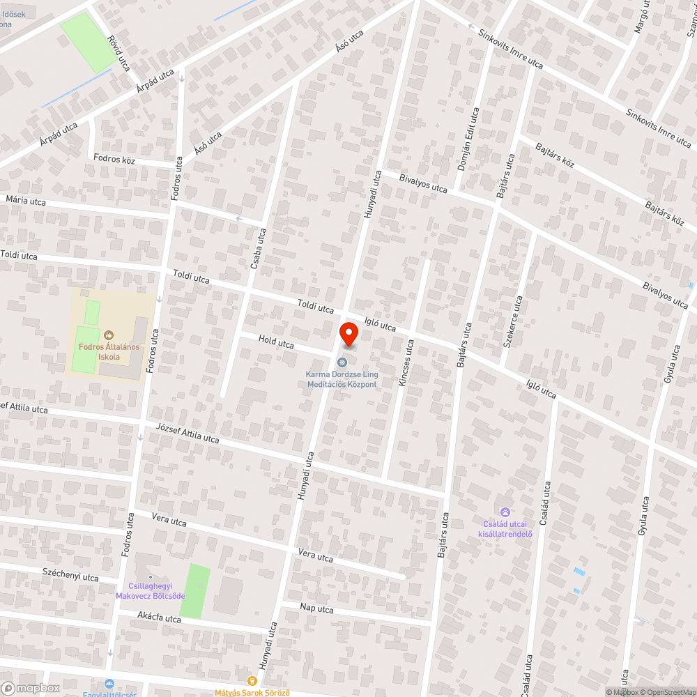 Kutyagumi bejelentés helye