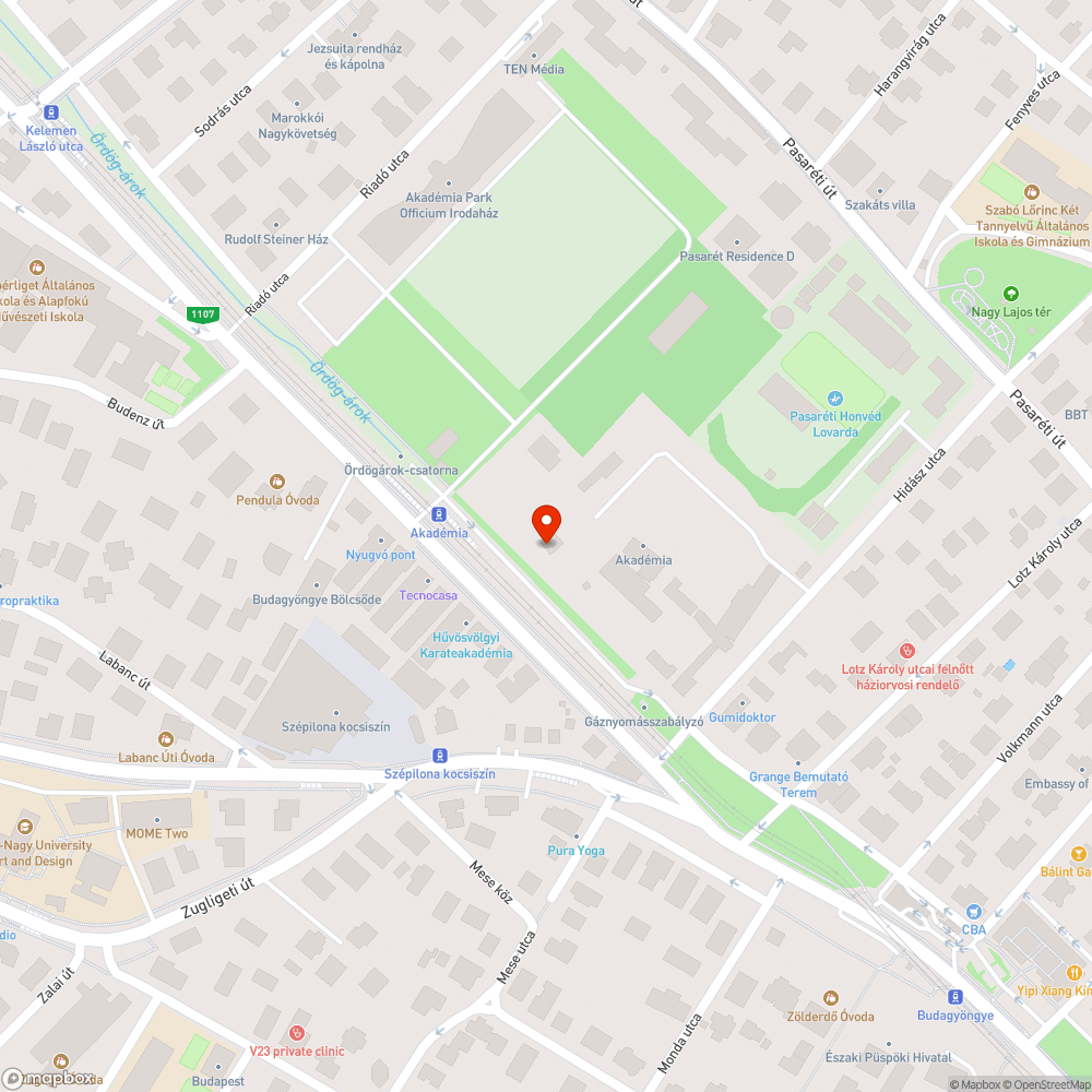 Rendezetlen zöldterület bejelentés helye