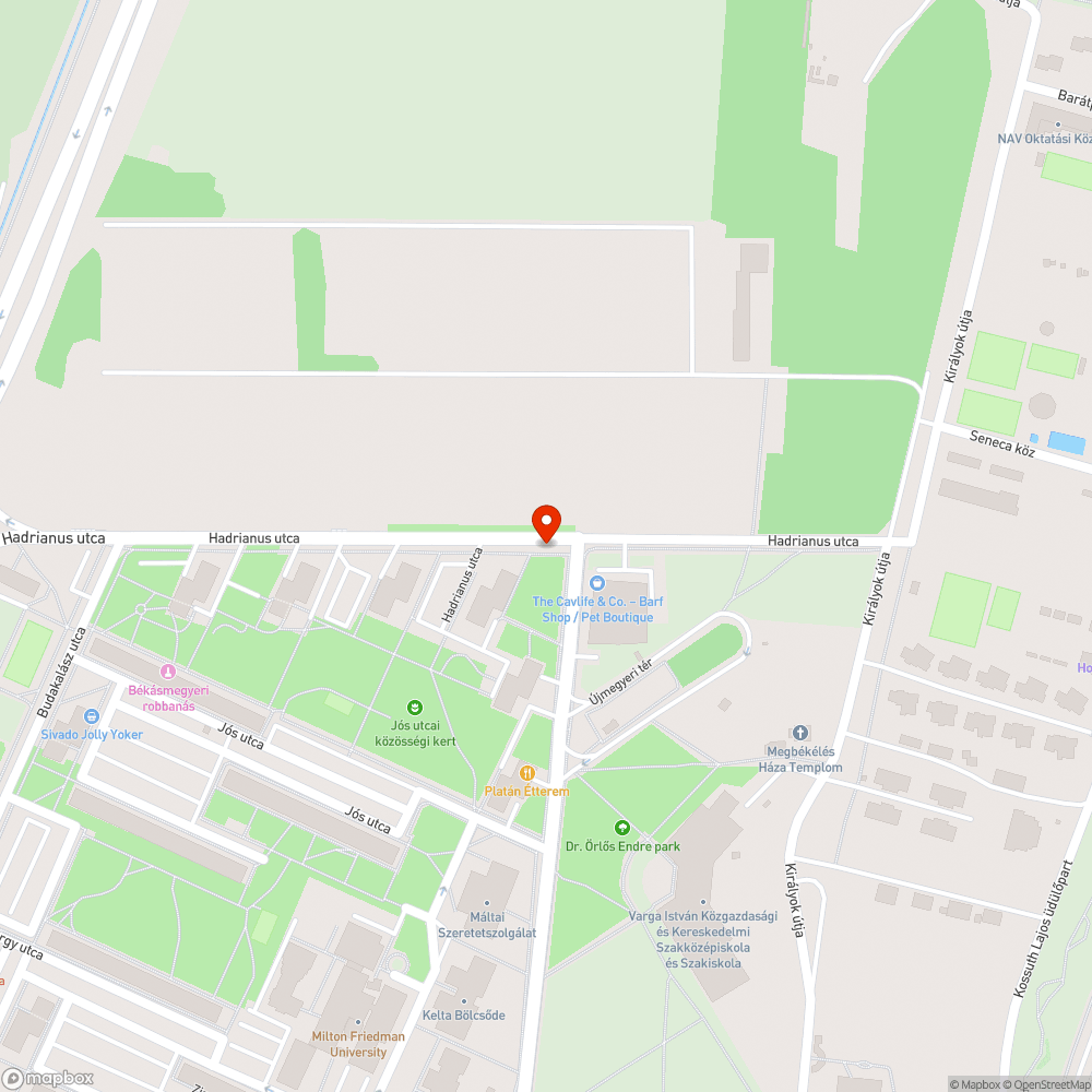 Botlás veszélyes járda bejelentés helye