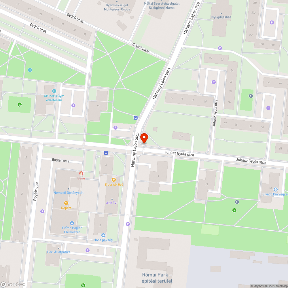 Elütött galamb bejelentés helye