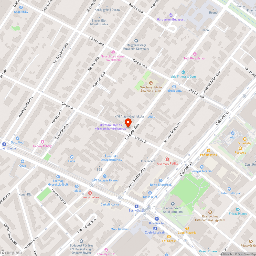 Kidobott faágak között gyülö szemét bejelentés helye