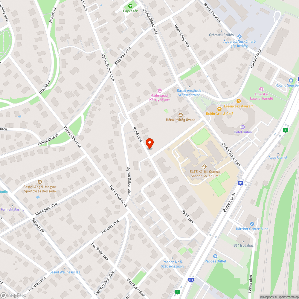 Lomtalanítás miatt helyfoglalós szemét Rahó - Bali Sándor bejelentés helye