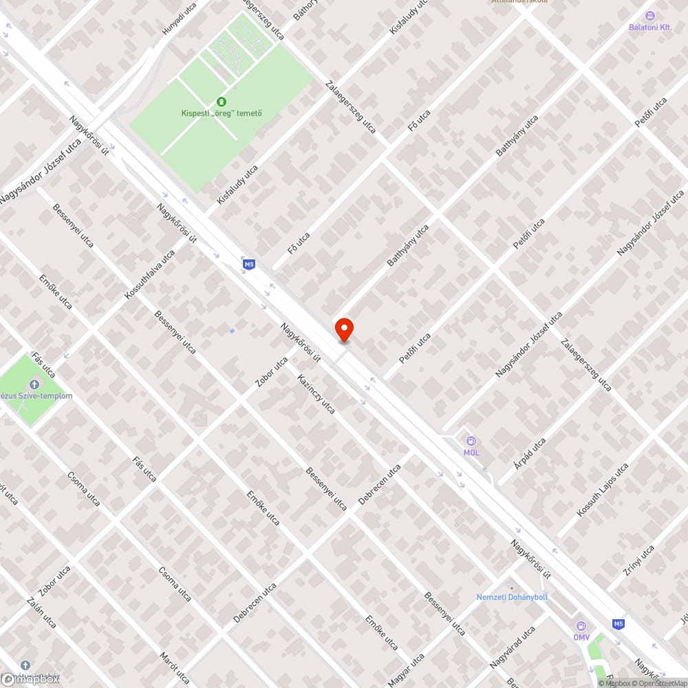 Batthyány utcai buszmegálló környéke szemetes és gazos bejelentés helye