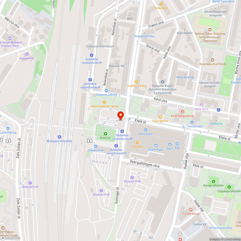 Halott fa bejelentés helye