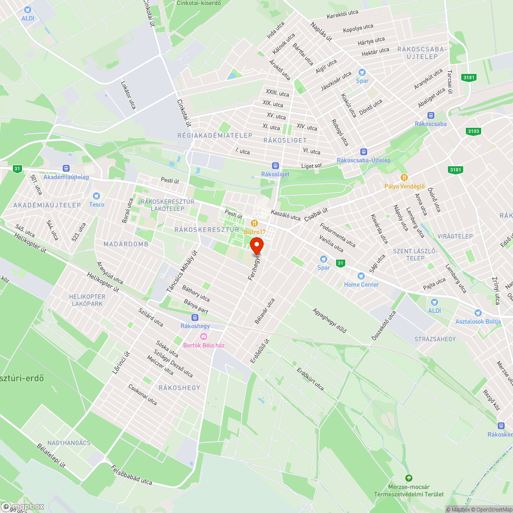 Járhatatlan járda a Podmaniczky Általános Iskola kapujánál bejelentés helye