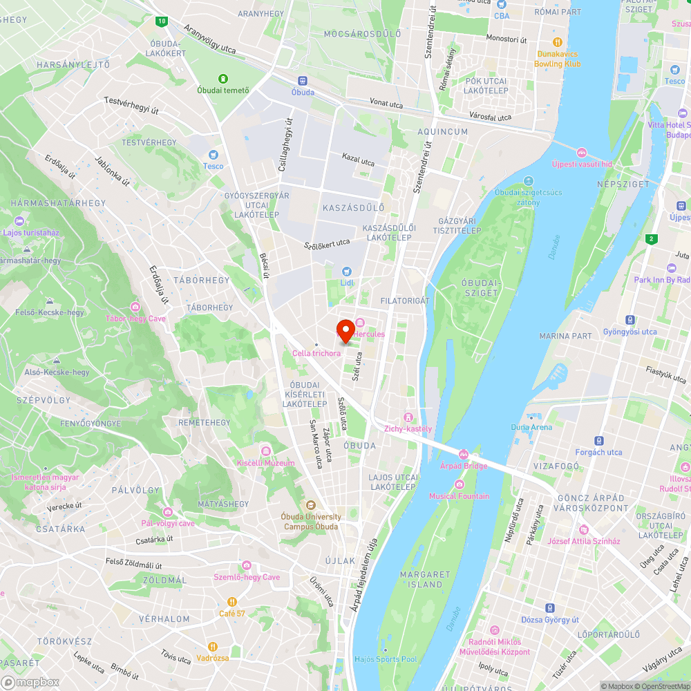 Korhadt és veszélyes fák bejelentés helye