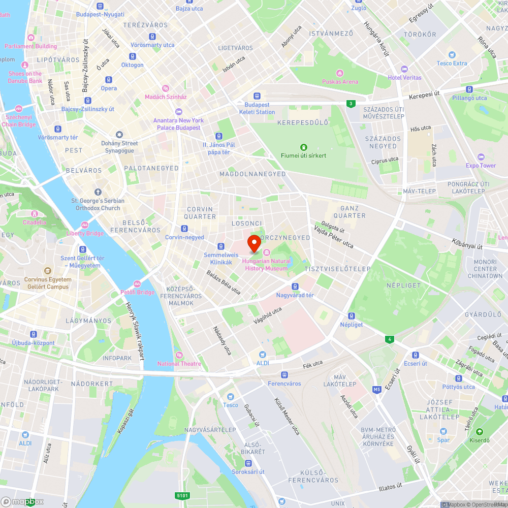 Katasztrofális állapotú a Korányi Sándor utca bejelentés helye