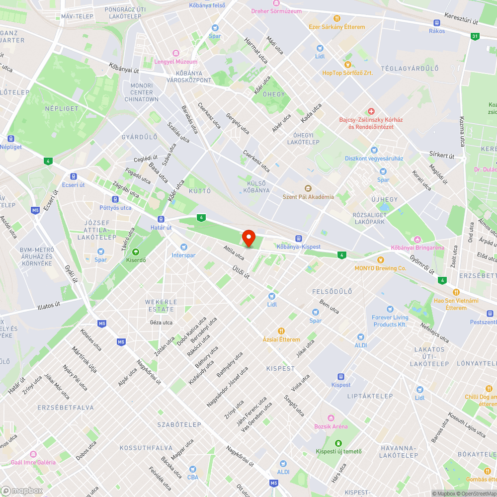 Szétszóródott szemét a Vak Bottyán utcában bejelentés helye