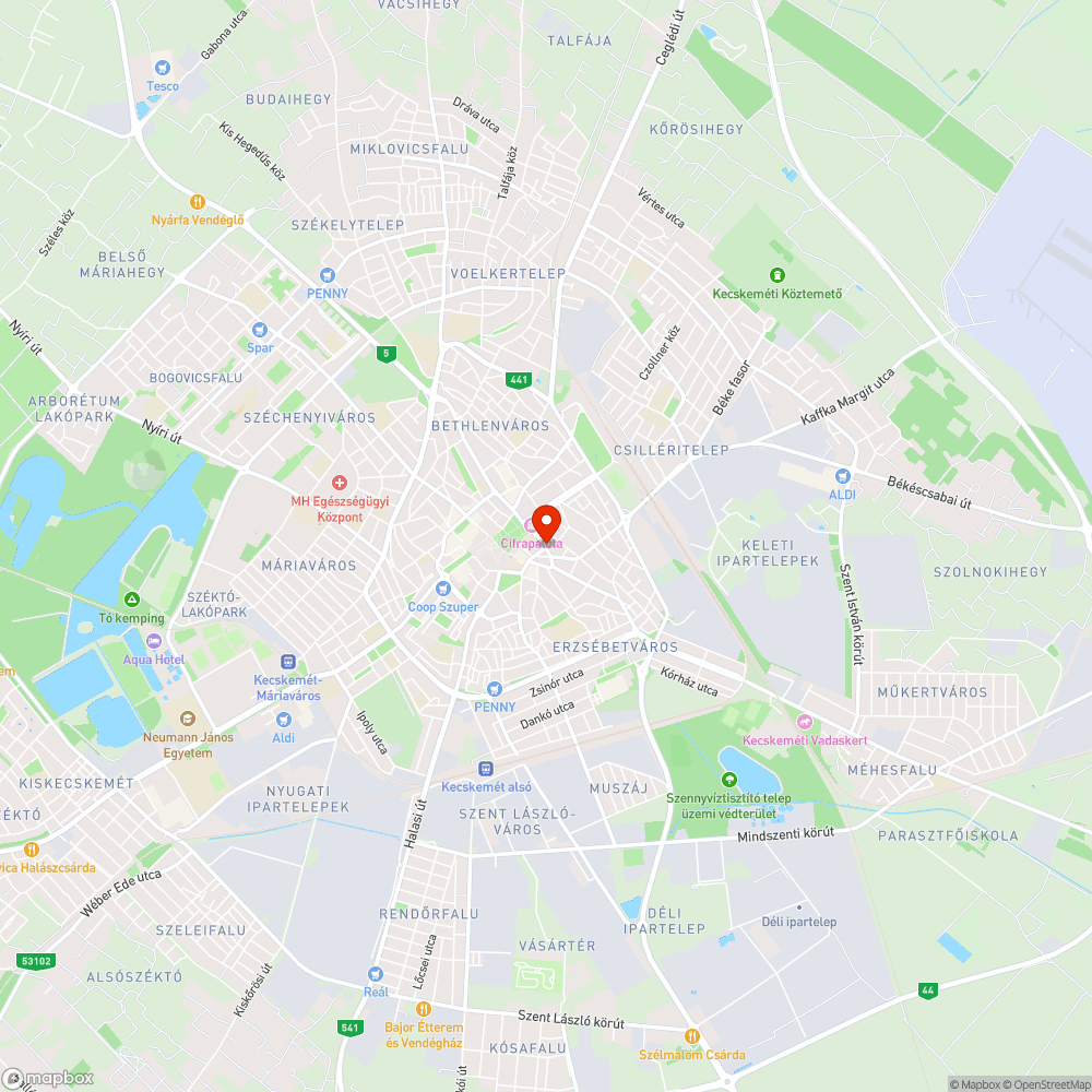 Balesetveszélyes járdaszakasz a Kiskörúton bejelentés helye