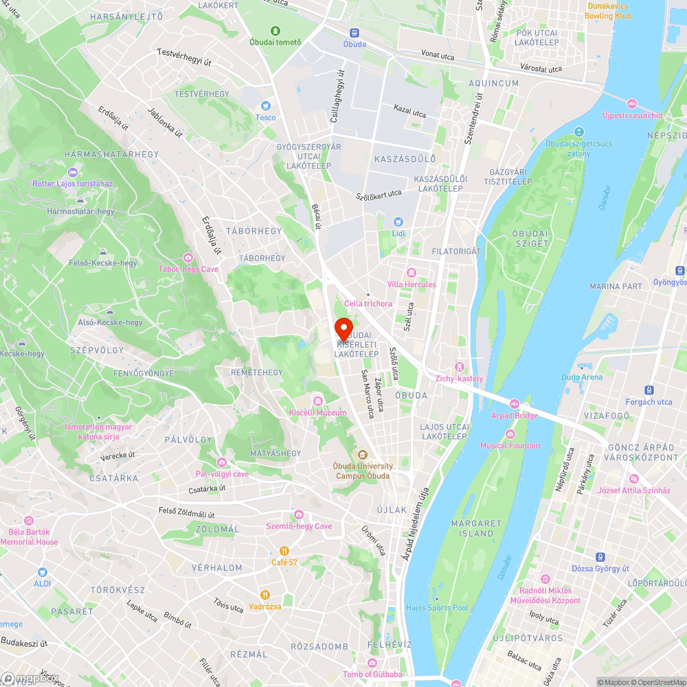 Széthagyott farönkök a parkban bejelentés helye