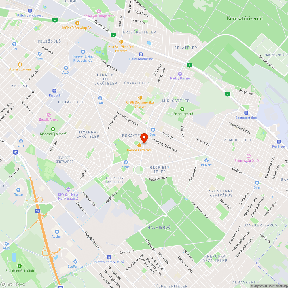 Szemétlerakás a Bányapark utcánál bejelentés helye