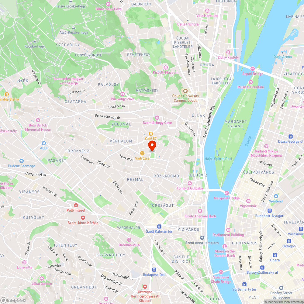 II. ker. - Életveszélyes gyalogátkelő(k) a Vérhalom térnél bejelentés helye