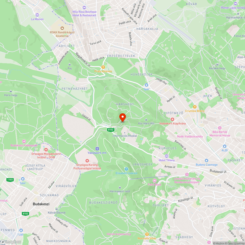 Veszélyes ág bejelentés helye