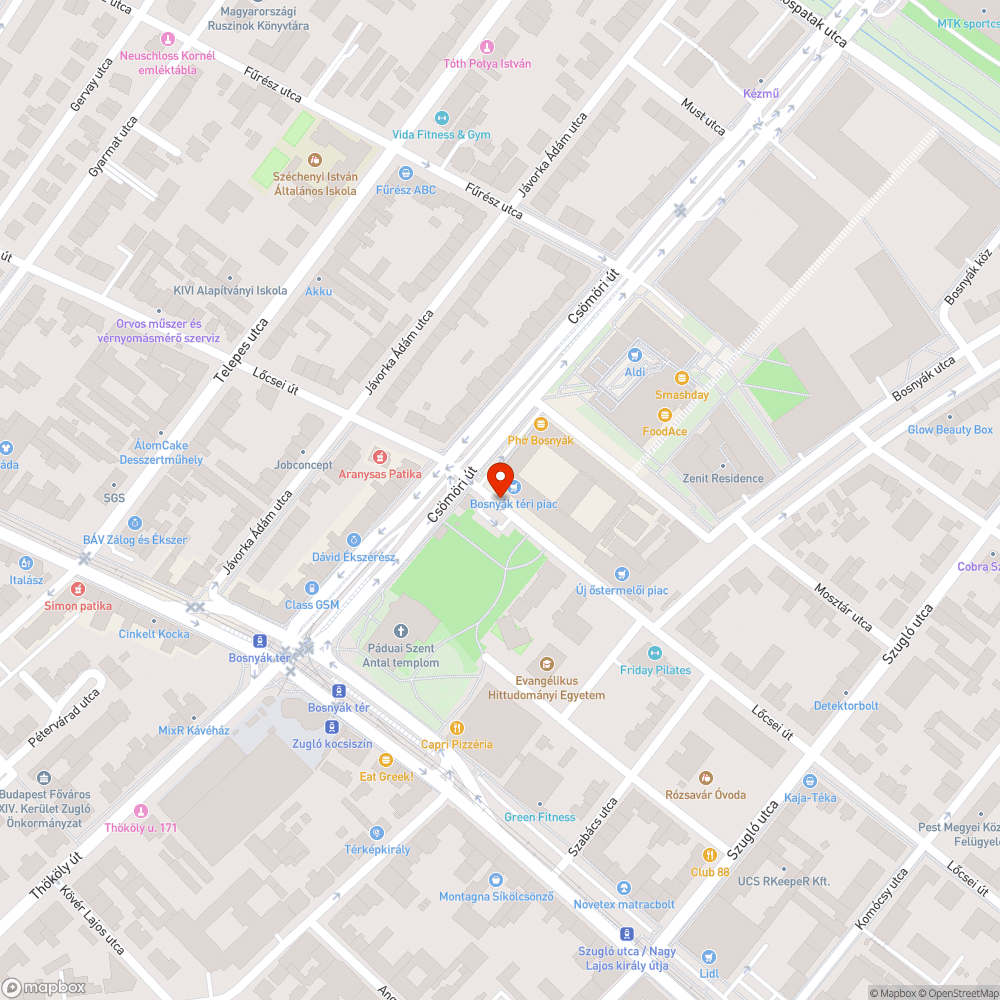 Kidőlt és meggyengült lámpaoszlop bejelentés helye