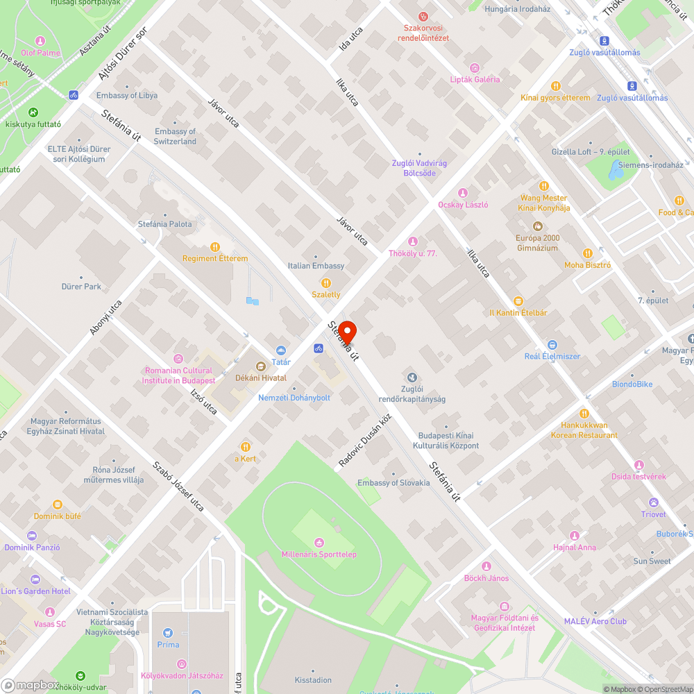 Elhullott macska tetem bejelentés helye