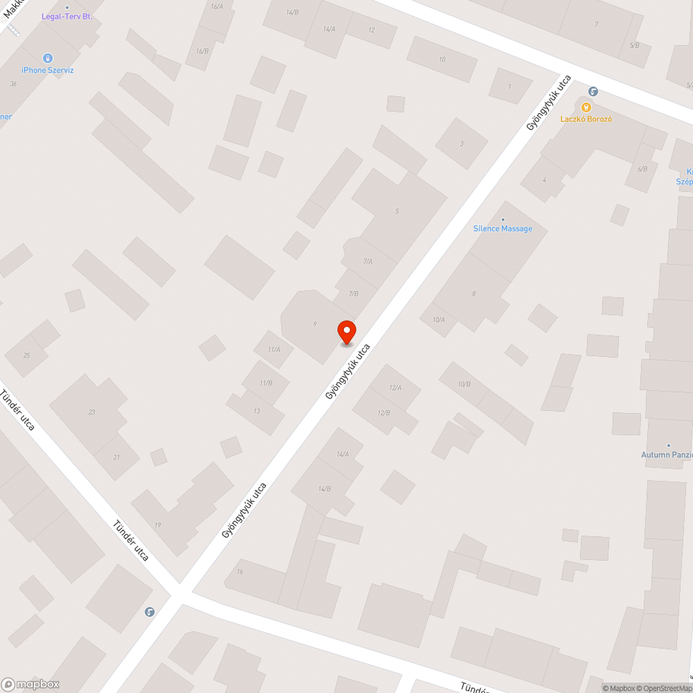 Kátyú a Gyöngytyúk utcában bejelentés helye