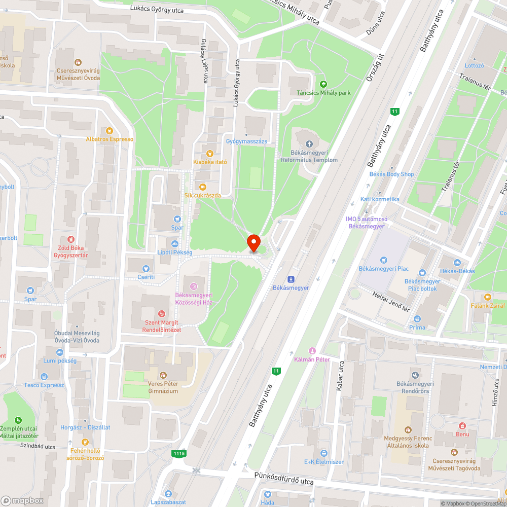 Eldugult víznyelő bejelentés helye