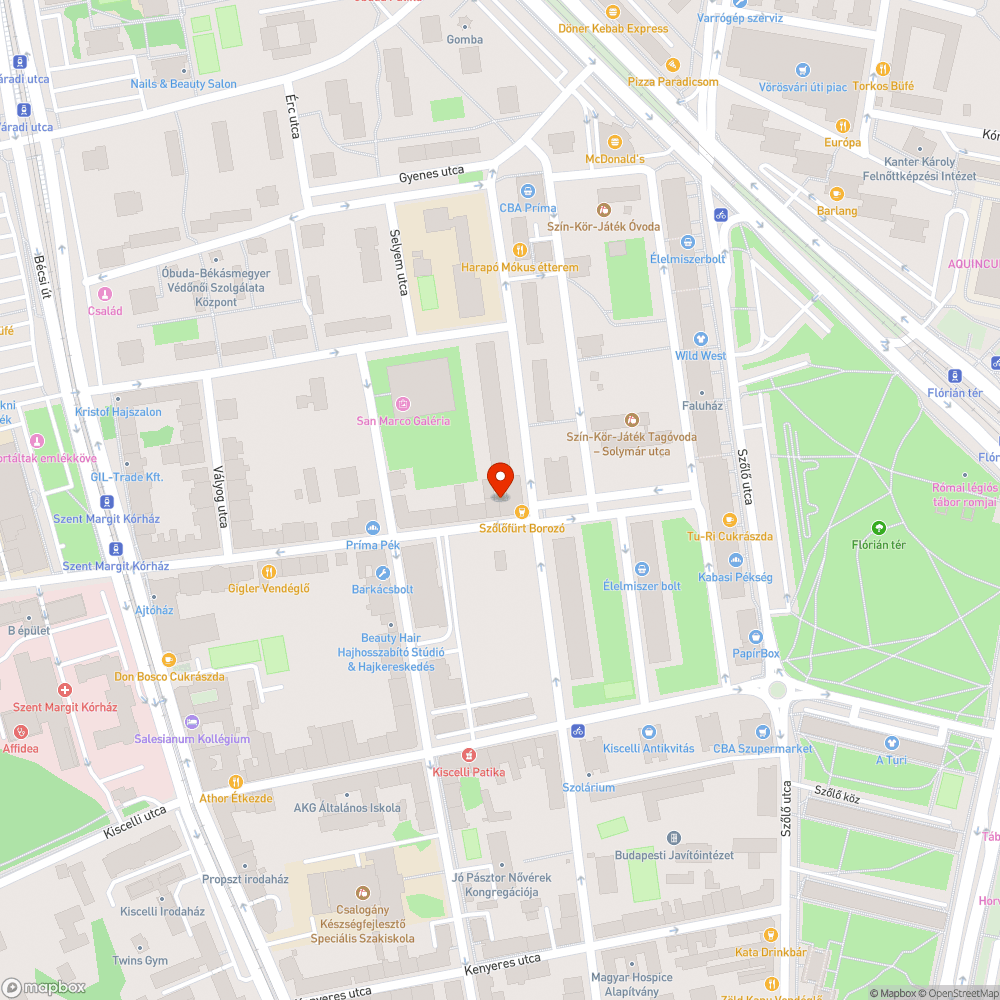 Elhanyagolt, szemetes, gazos járda a Távfűtőművek kkerítése mellett bejelentés helye