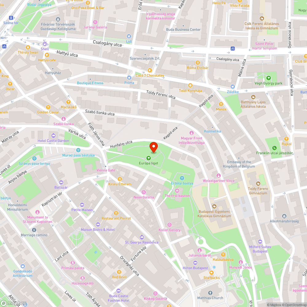 Kiégett köztéri lámpa bejelentés helye