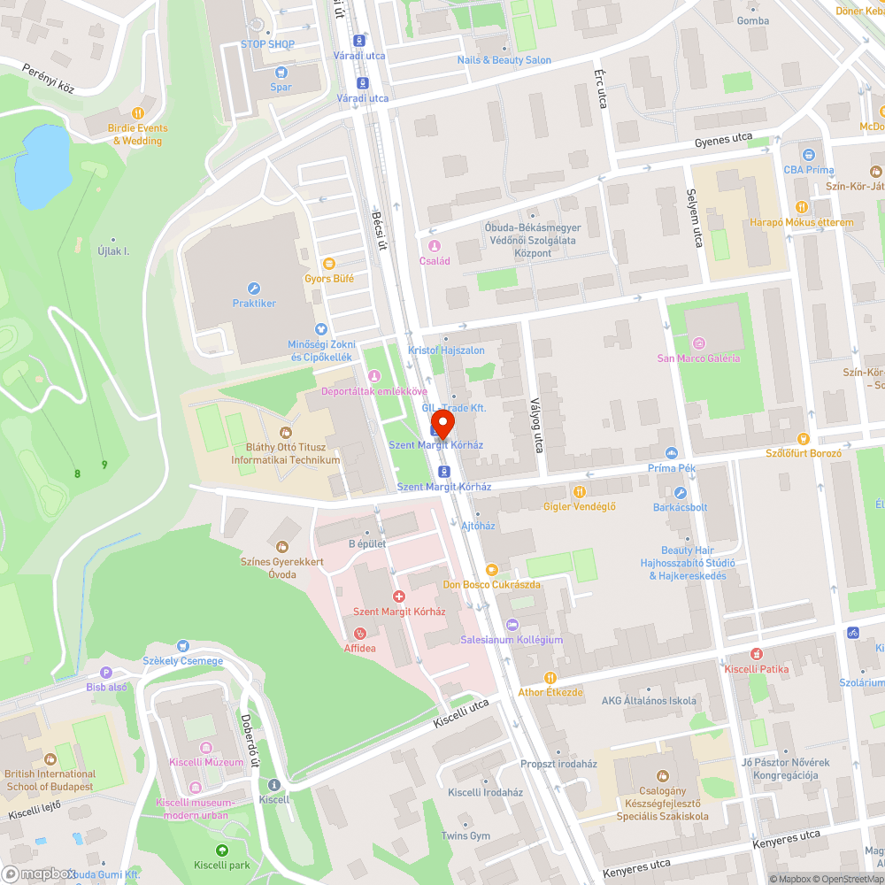 Nem takarított víznyelő bejelentés helye