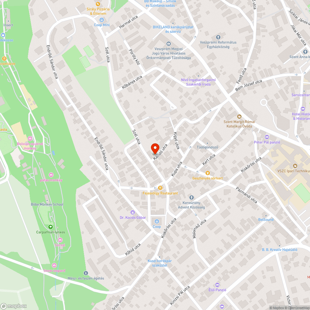 megsüllyedt térkő bejelentés helye